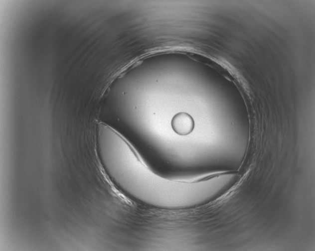 X0000071801001200607150142