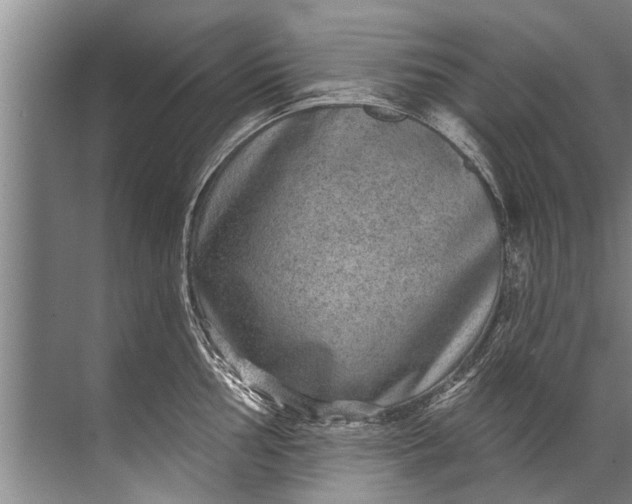 X0000071801002200607150142