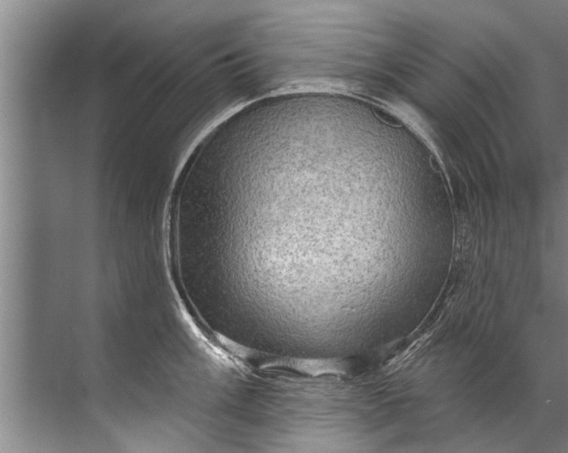 X0000071801003200607150142