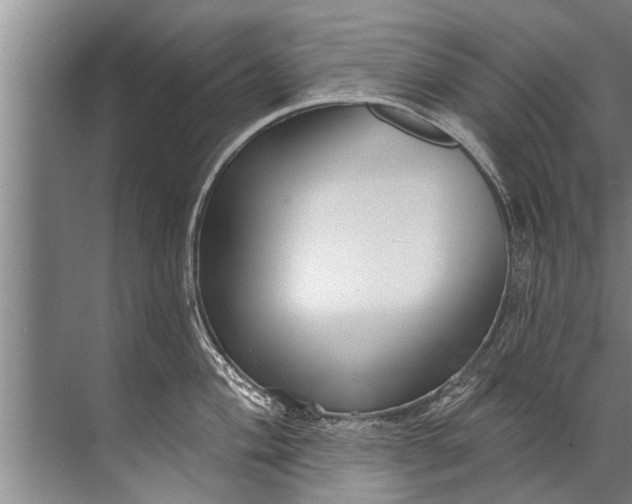 X0000071801004200607150142