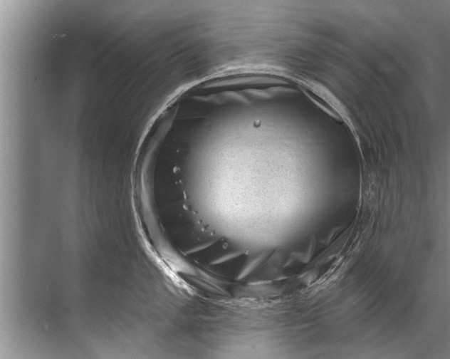 X0000071801005200607150142