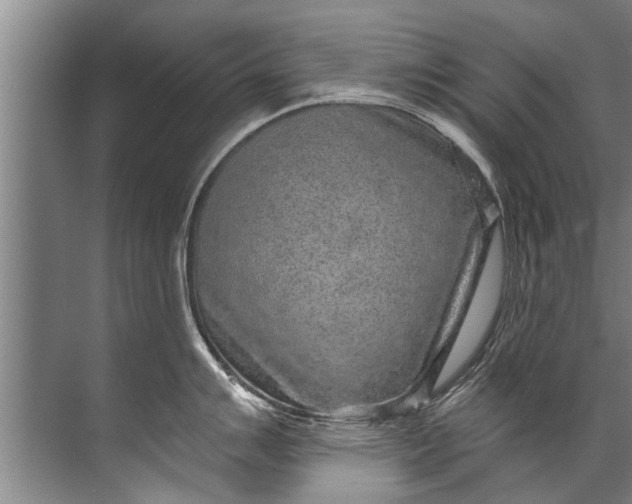 X0000071801007200607150142