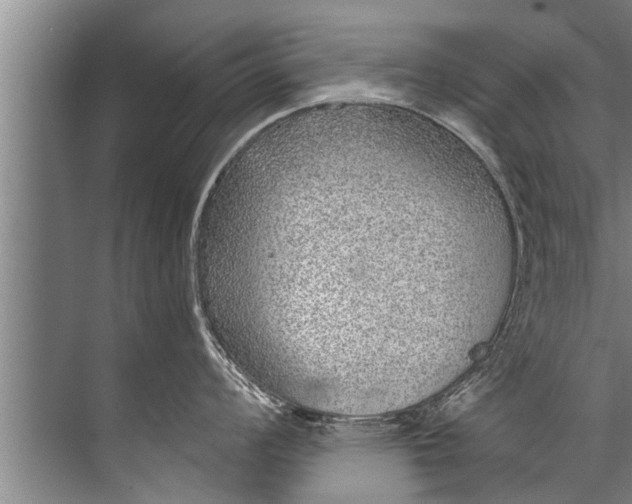 X0000071801008200607150142