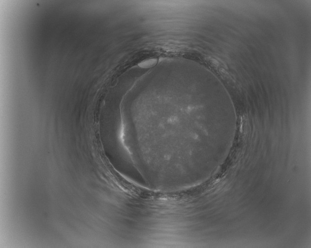 X0000071801009200607150141