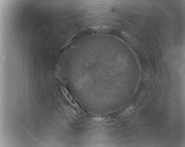 X0000071801010200607150141