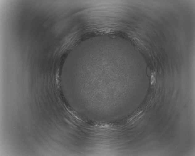 X0000071801011200607150141