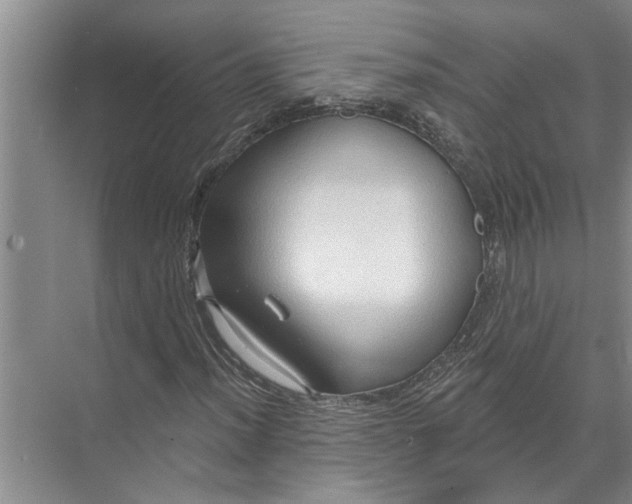 X0000071801012200607150141