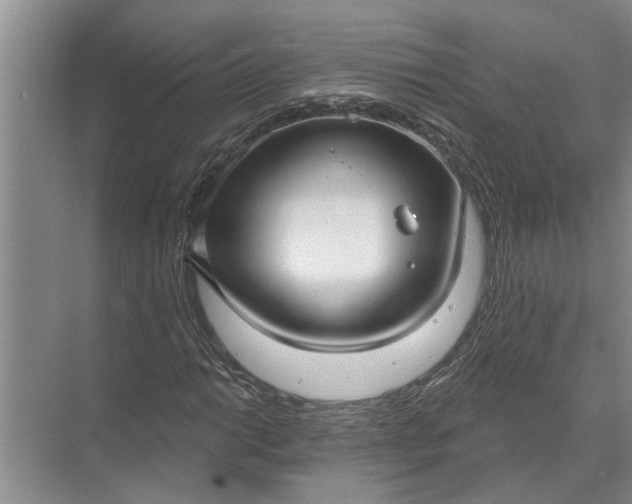 X0000071801014200607150141