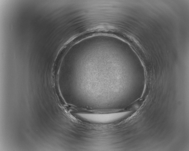 X0000071801018200607150141