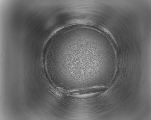 X0000071801019200607150141