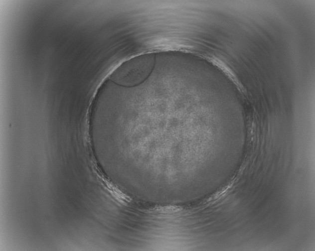 X0000071801023200607150141