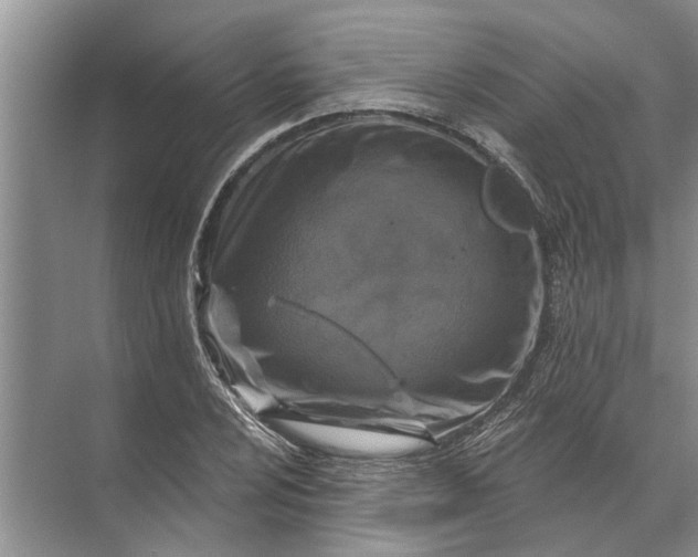 X0000071801024200607150141