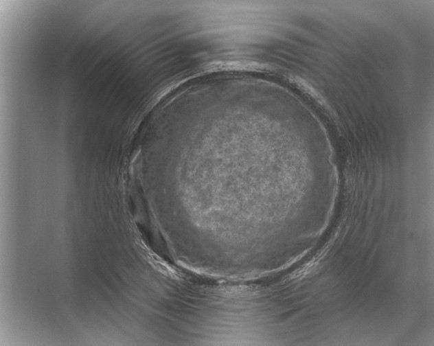 X0000071801025200607150141