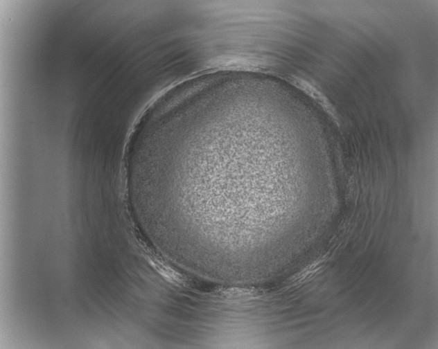 X0000071801027200607150141