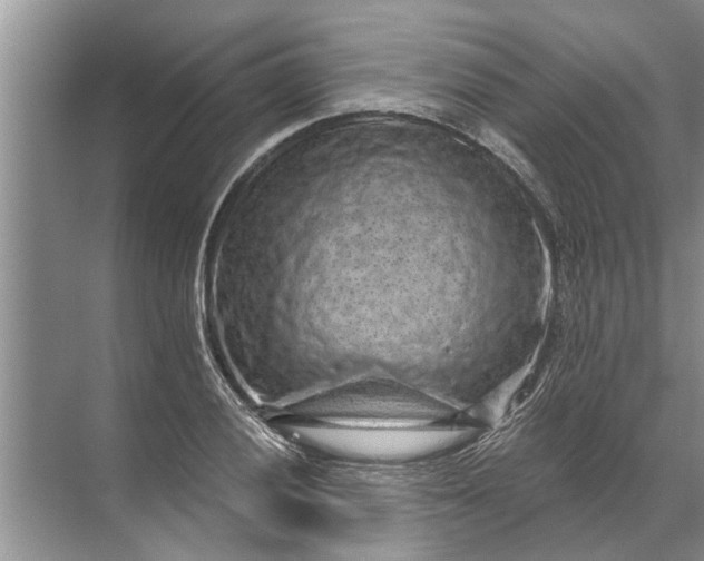 X0000071801028200607150141