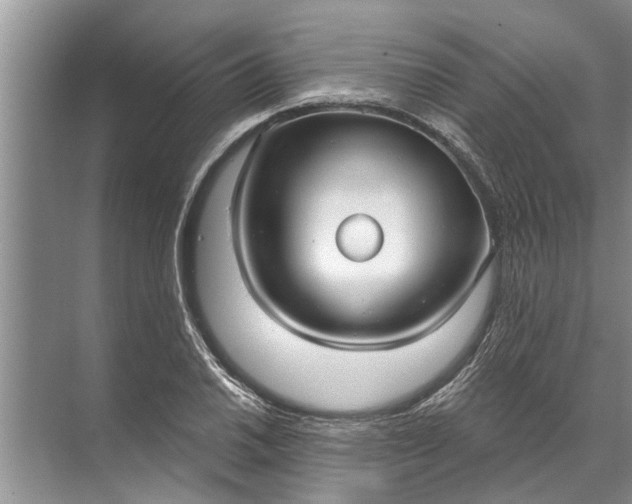 X0000071801030200607150141