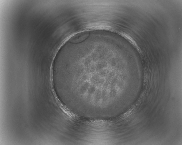 X0000071801031200607150141