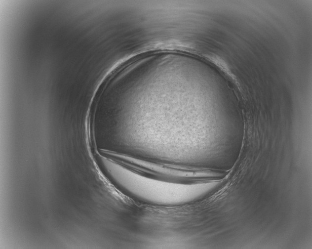 X0000071801032200607150141