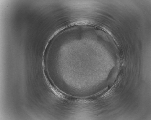 X0000071801034200607150141