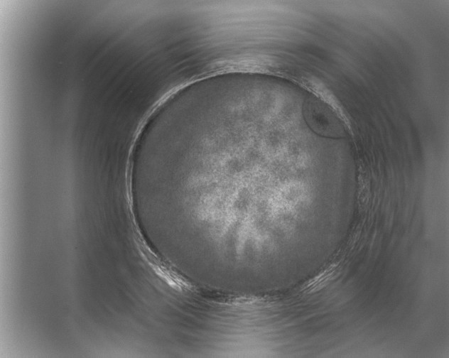 X0000071801035200607150141