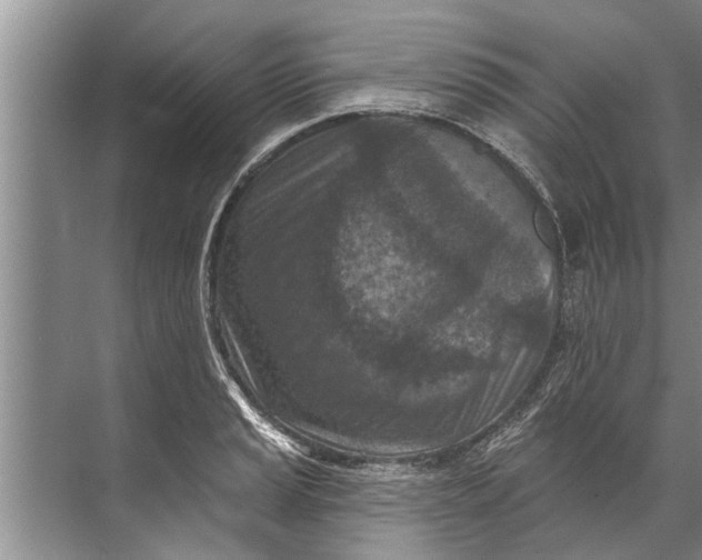 X0000071801037200607150141