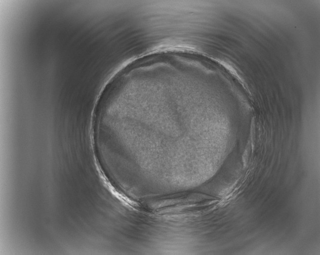 X0000071801038200607150141