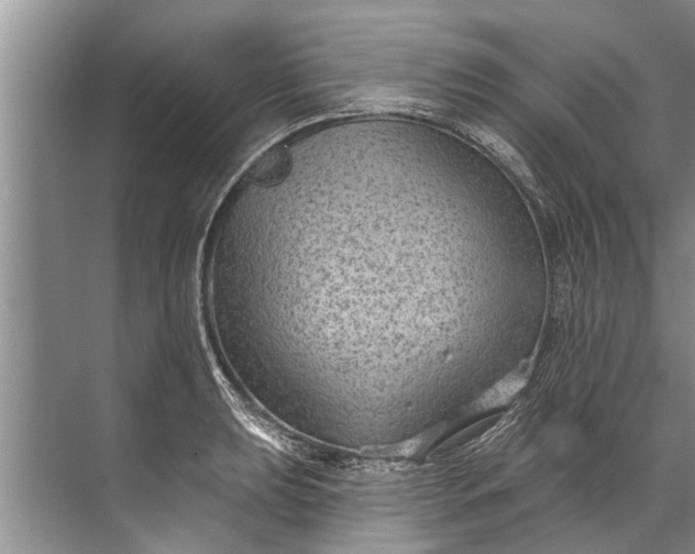 X0000071801039200607150141