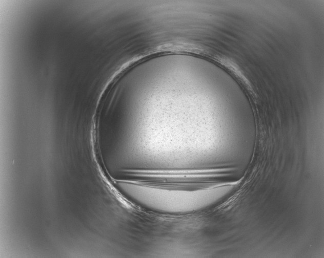 X0000071801040200607150141