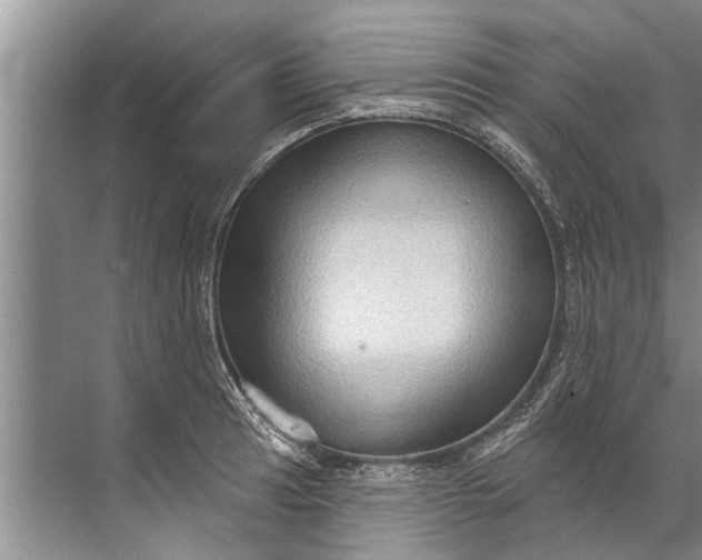 X0000071801041200607150141