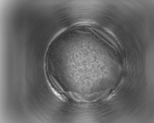 X0000071801042200607150141