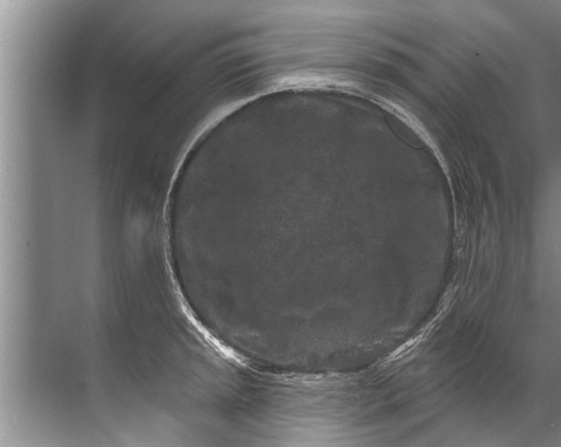 X0000071801045200607150141