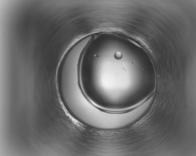 X0000071801046200607150141