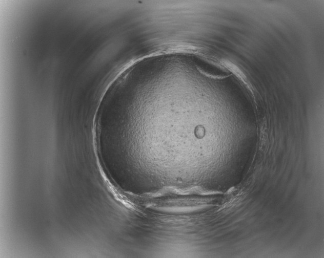 X0000071801047200607150141