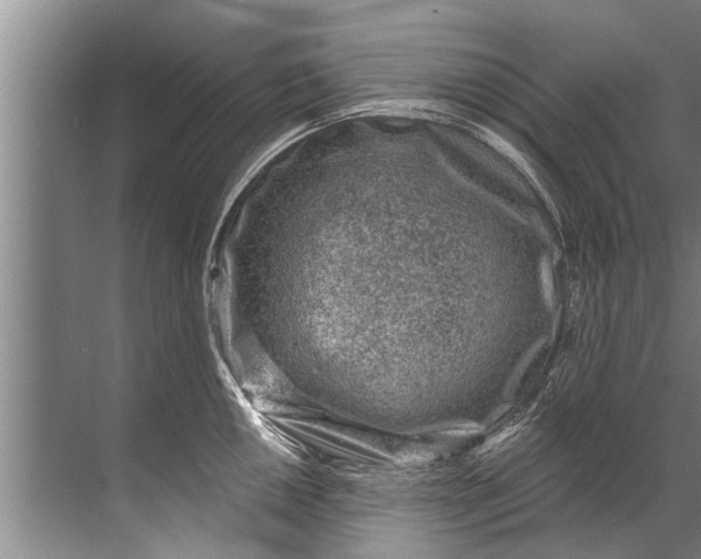 X0000071801050200607150141