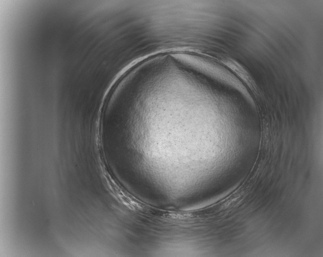 X0000071801052200607150142