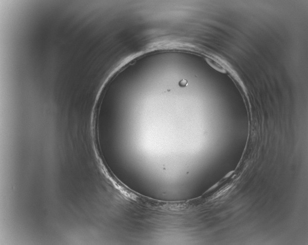 X0000071801053200607150142