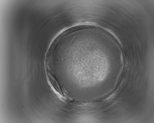 X0000071801054200607150142