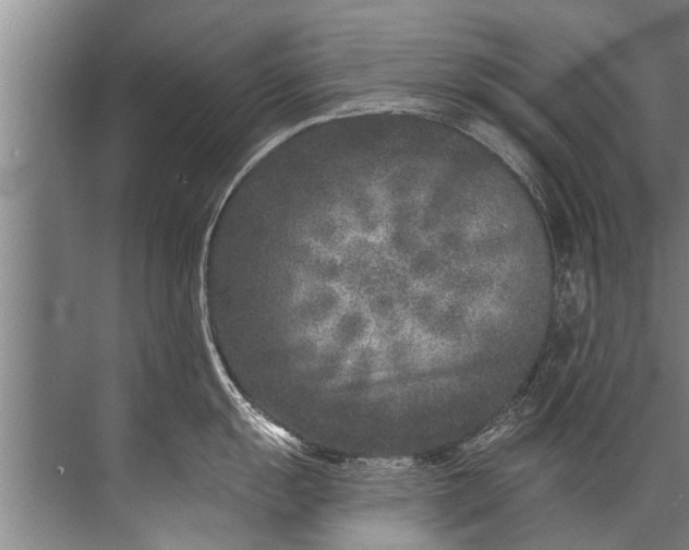 X0000071801055200607150142