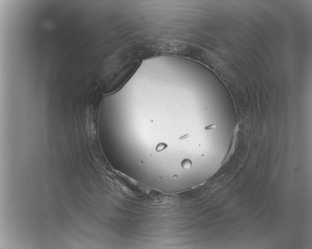 X0000071801058200607150141