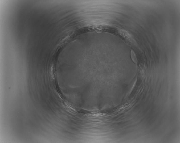 X0000071801060200607150141