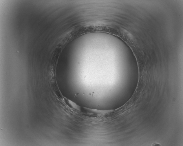 X0000071801062200607150141