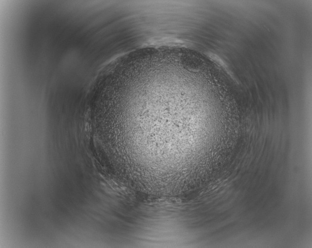 X0000071801063200607150141