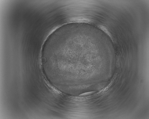 X0000071801071200607150141