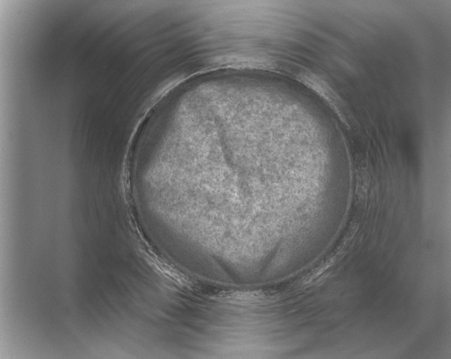 X0000071801074200607150140