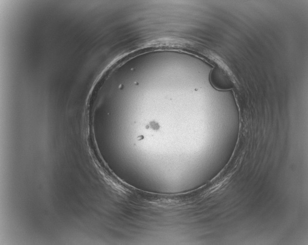 X0000071801075200607150140