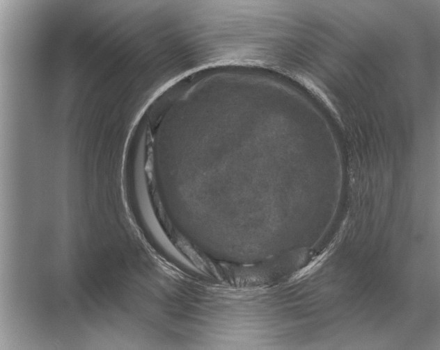 X0000071801077200607150140