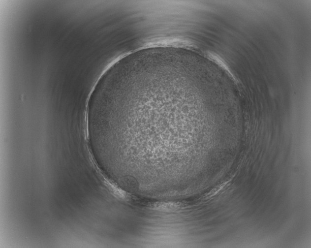 X0000071801079200607150140