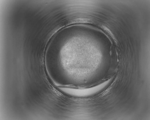 X0000071801081200607150140