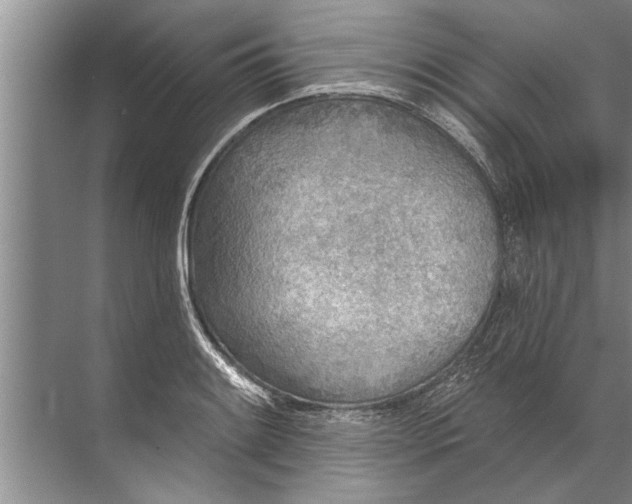 X0000071801084200607150140