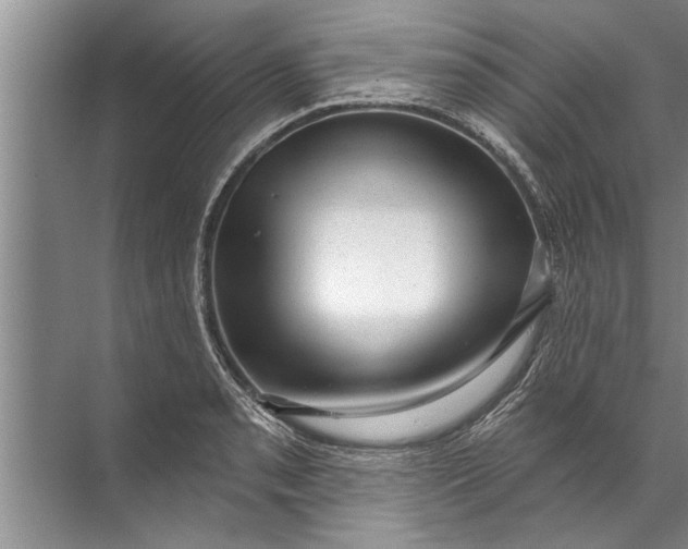 X0000071801085200607150140